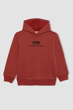 Толстая толстовка с капюшоном и принтом для мальчиков - Defacto фото 5