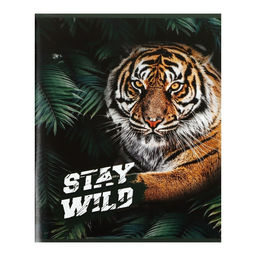 Набор тетрадей 96 листов в клетку Calligrata «Хищники», обложка мелованный картон, блок офсет, 4 шт.