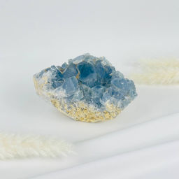 Друза Целестина