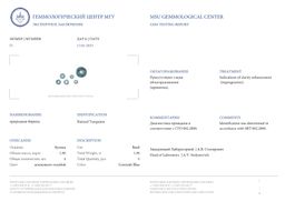 Браслет из Бирюзы - Радуга самоцветов фото 4