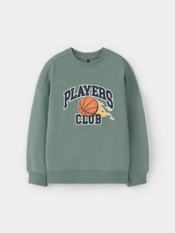 КР 302392/полынь джемпер (свитшот) для мал