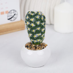 Цветочная композиция Кактус / WER-10 /уп 12/192/ микс