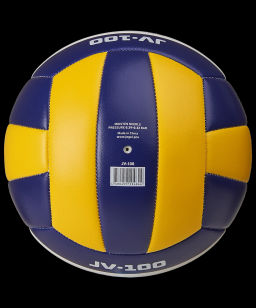 Мяч волейбольный JOGEL JV-100  фото 4