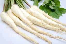 Пастернак Лучший из всех - Партнер фото 8