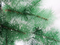 Сосна пушистая с инеем и шишками сборная 240 см - Ип лебедев о.ю фото 6