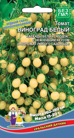Томат ВИНОГРАД БЕЛЫЙ Каскады белых ягодок с нежнейшим вкусом заворожат любого садовода!