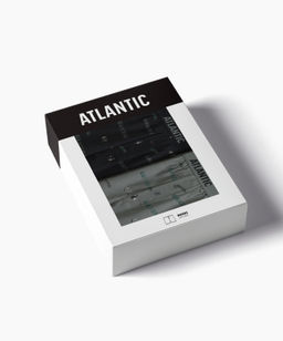 ATLANTIC 2MBX-084 Трусы боксеры Gym - набор 2 шт. черный + светлый хаки фото 6