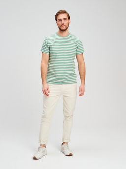 Футболка мужская короткий рукав GREG G145-KD4-UT22 (зеленая полоска)  фото 5