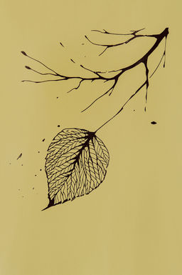 Арт. 3-1142 Футболка женская 42-50 (5 шт) Цвет:горчичный - Калинка фото 5