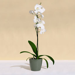 Цена за 2 шт. Кашпо для цветов, d=17 см, 2.7 л, пластик, зелёное, шалфей