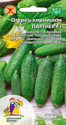 Огурец ПАРТНЁР F1 Гарантированно высокий урожай плодов корнишонного типа! Без горечи!