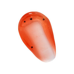 Масло для губ Tasty Tropical Lip Oil, Papaya 6587419