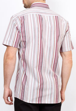 Сорочка мужская короткий рукав GREG Gb361/309/61/Z/1  фото 5