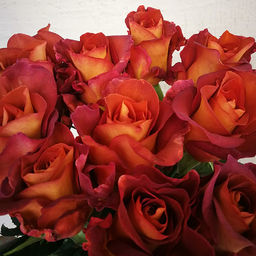 R248 КОФЕ БРЕЙК