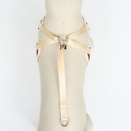 Комплект с мягкой шлейкой Клетки, размер S, поводок, 120 х 1,5 см, ОГ 28-62 см, красный - Пижон фото 7