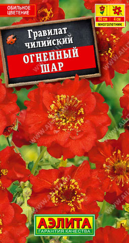 Гравилат Огненный шар (2028)