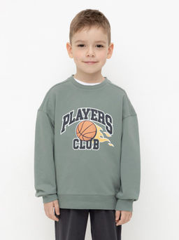 КР 302392/полынь джемпер (свитшот) для мал