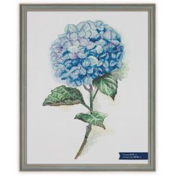 Рамка Gamma БМГ-02/1 41 х 51 см пластик с оргстеклом Тулуза