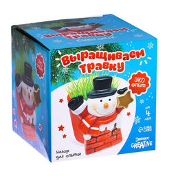 Набор для опытов Выращиваем травку, снеговик - Эврики фото 7