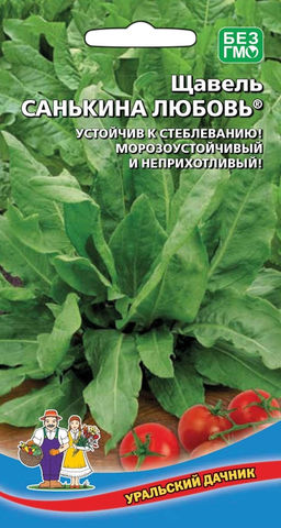 Щавель САНЬКИНА ЛЮБОВЬ® Устойчив к стеблеванию! Морозоустойчивый и неприхотливый!