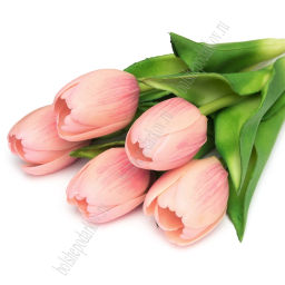 Веточка декоративная "Тюльпан" 32 см (5 шт) SF-8136, розовый