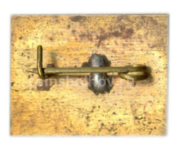 Значок Карпаты