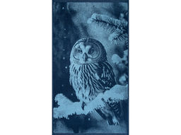 Полотенце махровое 6с103.412ж1 Фото-сова(джинс) 50х90см