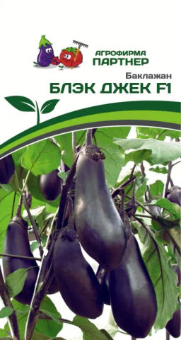 Баклажан Блэк Джек