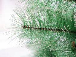 Сосна пушистая с инеем и шишками сборная 240 см - Ип лебедев о.ю фото 5