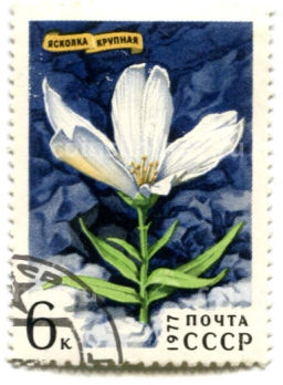 Марка Яснолка крупная 1977 год