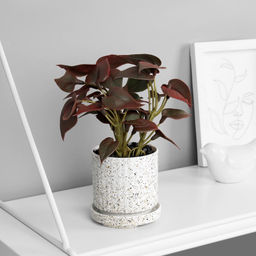 Искусственный цветок в горшке Сингониум премиум (мягкий лист), 15?7 см, МИКС