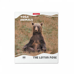 Цена за 5 шт. Тетрадь общая ученическая ErichKrause Yoga Style, 48 листов, клетка, матовая ламинация_MIX-PACK фото 5