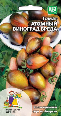 Томат АТОМНЫЙ ВИНОГРАД БРЕДА