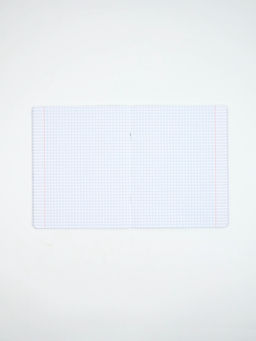 Тетради в клетку, 48 л., набор из 5 шт., блок №1 Россия - Artfox study фото 3