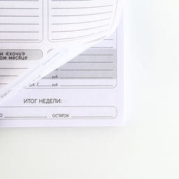 Блокнот для планирования финансов  «Я твой магнит для денег»