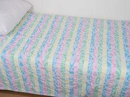 Плед 2с109.213ж1 Тайланд (белая радужка1) 208х220 см