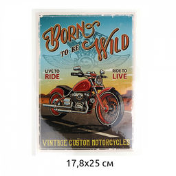 Термотрансфер арт.TBY.1282 Born to be wild 17,8х25см, уп.10шт