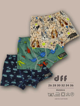 Комплект трусов для мальчика 3 шт. dff Тр 3000/11,14,17 Размер 28