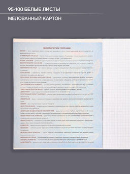 Цена за 10 шт. Тетрадь предметная, 48 листов в клетку, Calligrata Доска. География  фото 4