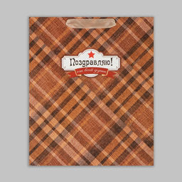 Цена за 2 шт. Пакет подарочный крафтовый, упаковка, Поздравляю от всей души!, ML 23?27?11.5 см