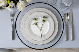 Обеденный сервиз Сильвер, 6 персон, 27 предметов - Anna lafarg emily фото 25