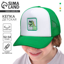 Кепка детская для мальчика Крутой дино, р-р 52-54, 5-7 лет