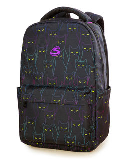 Рюкзак Steiner ST1-26