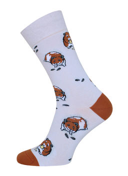 Цена за 2 пары. Носки с рисунком БРЕСТСКИЕ НОСКИ 4200 PETS (средней длины)