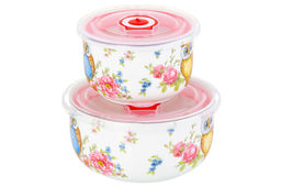 Набор 2 салатников - 13*13*6,5 см 560 мл+10,5*10,5*6 см 260 мл Совушки с плас.крыш. NEW BONE CHINA - Elan gallery фото 18