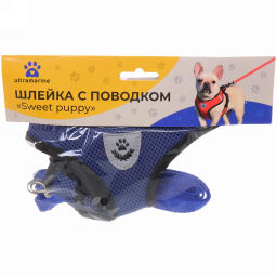 Цена за 2 шт. Шлейка с поводком 118см "Sweet puppy" размер S, цвет голубой