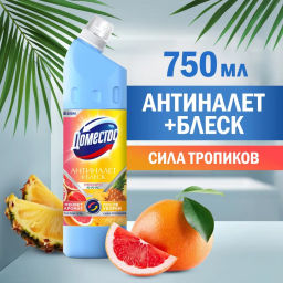 ДОМЕСТОСср-во универсальное 750мл Сила тропиков