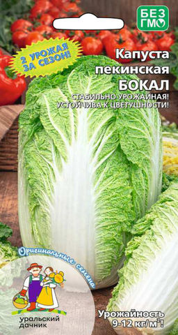 Капуста пекинская БОКАЛ  2 урожая за сезон! Стабильная урожайность! Устойчива к цветушности!