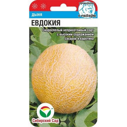 Дыня Евдокия 7шт. (Сибирский сад)