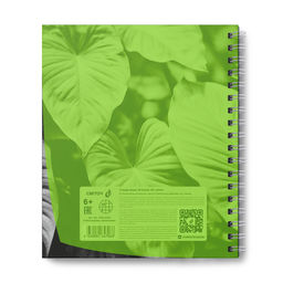 Светоч Т208 Тетрадь общая с пластик. обложкой, ч/б запечат. титульн.лист, 180 мкм., A5 48 л. на гребне 65 г/кв.м , белизна 100 % 4 шт. клетка 01546 Тайны природы, лайм  фото 7